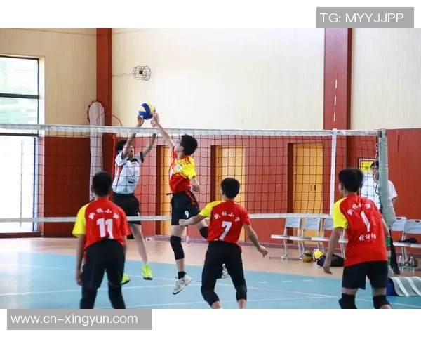 重庆排球队的成长历程与奋斗精神全景纪实